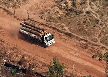 VERRA SUSPENDE PROJETOS DE CRÉDITO DE CARBONO APÓS OPERAÇÃO POLICIAL NO BRASIL