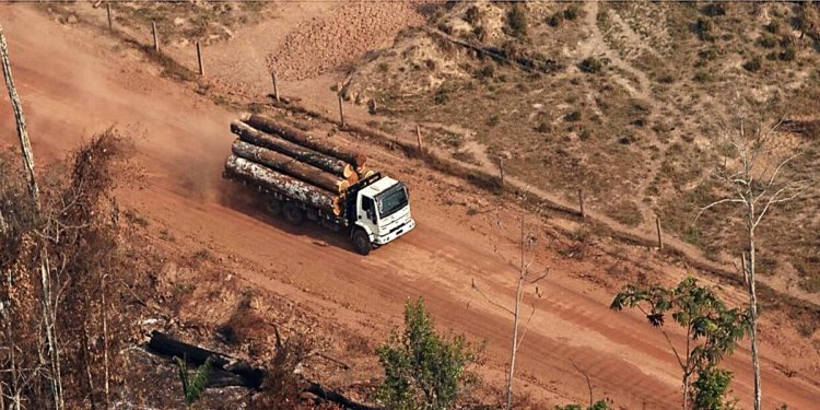 VERRA SUSPENDE PROJETOS DE CRÉDITO DE CARBONO APÓS OPERAÇÃO POLICIAL NO BRASIL