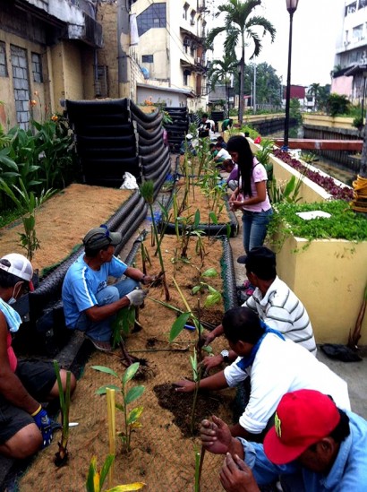 A comunidade local parfticipando ativamente do projeto de revitalização do Canal Paco.