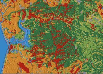 NOVA PLATAFORMA REVELA MUDANÇAS NA COBERTURA TERRESTRE EM TEMPO REAL