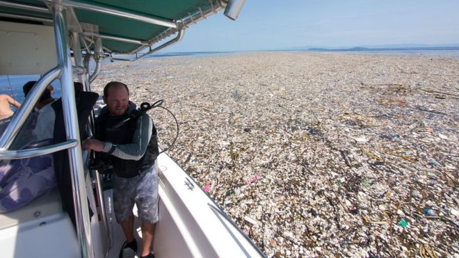 Imagens da 'ilha de lixo' no Mar do Caribe viralizaram recentemente | Foto: Cortesia de Caroline Power