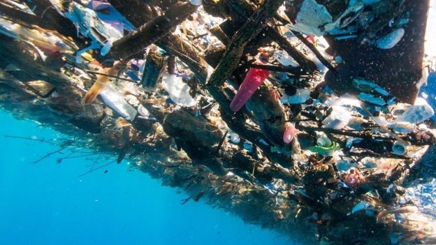 Autoridades dizem que a 'ilha de lixo' causa uma série de problemas ambientais, ecológicos, econômicos e de saúde | Foto: Cortesia de Caroline Power