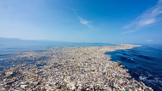 O lixo flutuante chega a várias localidades da costa norte do Caribe | Foto: Cortesia de Caroline Power