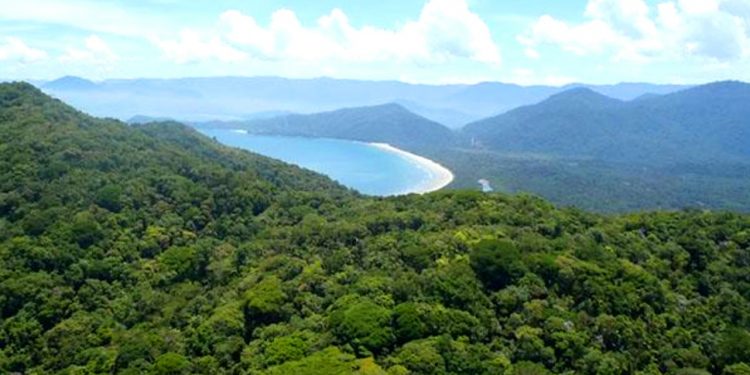 UTILIDADE PÚBLICA E LEI DA MATA ATLÂNTICA