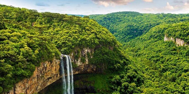 ÁREAS PROTEGIDAS, ESFORÇOS PRIVADOS