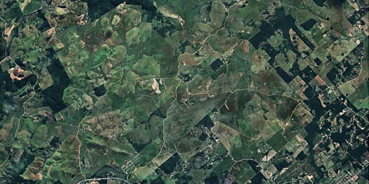 JUNTANDO OS CACOS DA MATA ATLÂNTICA NO RIO DE JANEIRO