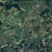 JUNTANDO OS CACOS DA MATA ATLÂNTICA NO RIO DE JANEIRO