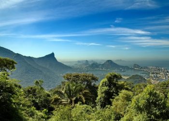 HÁ MAIS DE 1,5 MIL UCS MUNICIPAIS NA MATA ATLÂNTICA