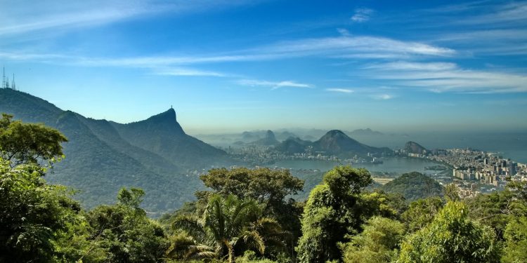 HÁ MAIS DE 1,5 MIL UCS MUNICIPAIS NA MATA ATLÂNTICA