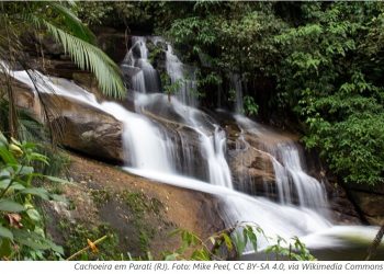 COMO MUDANÇAS NA LEI DA MATA ATLÂNTICA PODEM AMEAÇAR O FORNECIMENTO DE ÁGUA NO BRASIL