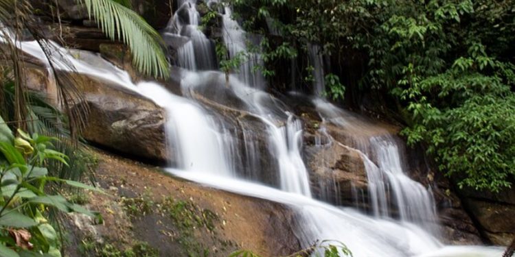 COMO MUDANÇAS NA LEI DA MATA ATLÂNTICA PODEM AMEAÇAR O FORNECIMENTO DE ÁGUA NO BRASIL