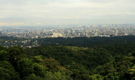 São Paulo e área remanescente da Mata Atlântica (Imagem rma.org)