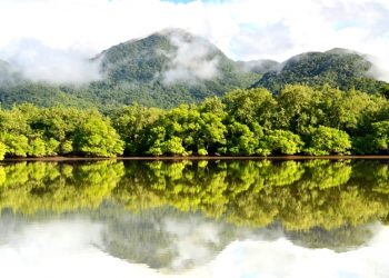 MATA ATLÂNTICA, O LUGAR IDEAL PARA A RESTAURAÇÃO DE FLORESTAS E PAISAGENS