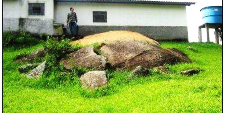 MATACÕES: GÊNESE, PROBLEMAS E SOLUÇÕES