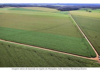 O CLIMA JÁ ESTÁ MUDANDO NO MATOPIBA, NOVA FRONTEIRA AGRÍCOLA BRASILEIRA