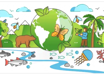 MEIO AMBIENTE ECOLOGICAMENTE EQUILIBRADO: SONHO OU UTOPIA?