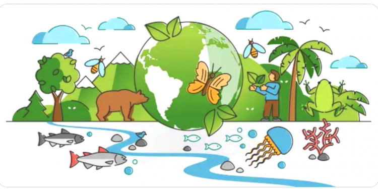 MEIO AMBIENTE ECOLOGICAMENTE EQUILIBRADO: SONHO OU UTOPIA?