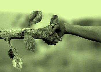 UMA BREVE REFLEXÃO SOBRE A SEMANA DO MEIO AMBIENTE