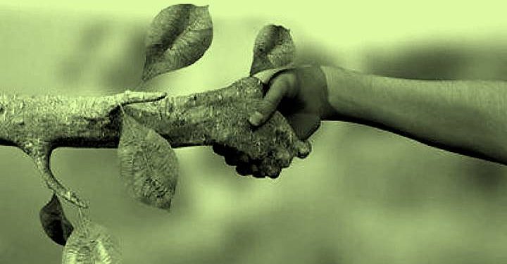 UMA BREVE REFLEXÃO SOBRE A SEMANA DO MEIO AMBIENTE