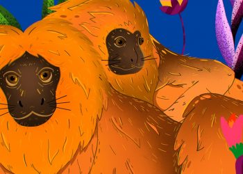 CARDS DO CHOCOLATE SURPRESA VOLTAM EM FORMATO DIGITAL PARA APOIAR A MATA ATLÂNTICA