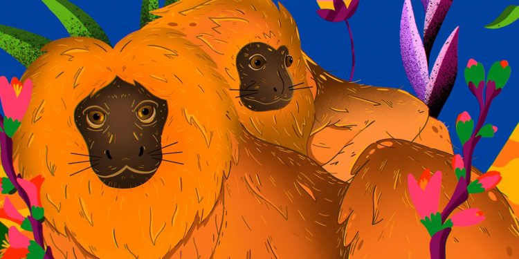 CARDS DO CHOCOLATE SURPRESA VOLTAM EM FORMATO DIGITAL PARA APOIAR A MATA ATLÂNTICA