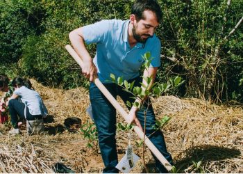 DÓLARES E MOTOSSERRAS: PRODUÇÃO DE MADEIRA PODE AJUDAR A FINANCIAR O REFLORESTAMENTO?