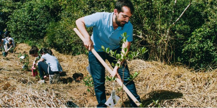 DÓLARES E MOTOSSERRAS: PRODUÇÃO DE MADEIRA PODE AJUDAR A FINANCIAR O REFLORESTAMENTO?