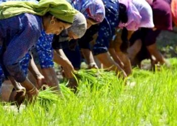 DIA INTERNACIONAL DA MULHER 2022: “IGUALDADE DE GÊNERO HOJE PARA UM AMANHÃ SUSTENTÁVEL”