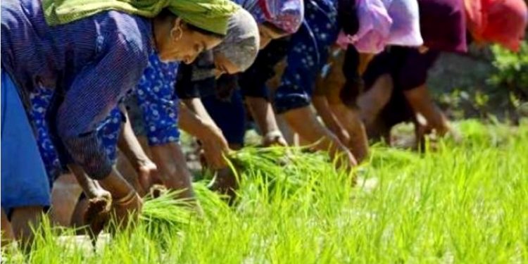 DIA INTERNACIONAL DA MULHER 2022: “IGUALDADE DE GÊNERO HOJE PARA UM AMANHÃ SUSTENTÁVEL”