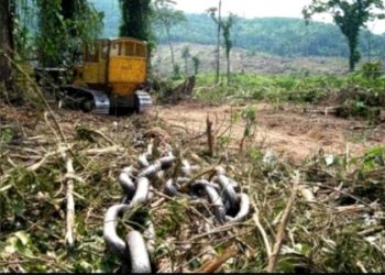 COBRANÇA DO GOVERNO DE R$ 29 BILHÕES EM MULTAS AMBIENTAIS TEM VIÉS POLÍTICO-IDEOLÓGICO, DIZ ADVOGADO