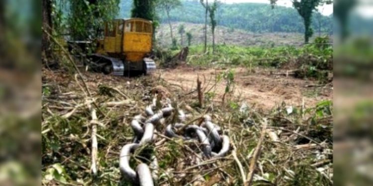 COBRANÇA DO GOVERNO DE R$ 29 BILHÕES EM MULTAS AMBIENTAIS TEM VIÉS POLÍTICO-IDEOLÓGICO, DIZ ADVOGADO