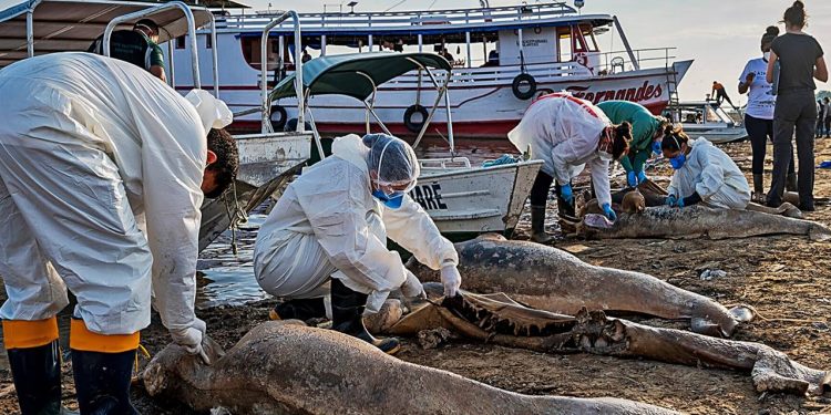 ANÁLISE DETALHADA DA NASA REVELA O FUTURO CLIMÁTICO DA TERRA E DA AMAZÔNIA — E ELE NÃO É NADA BOM
