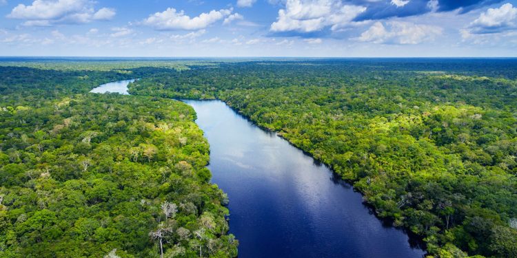 A APLICAÇÃO DA LEI NO TEMPO E AS ÁREAS DE PRESERVAÇÃO PERMANENTE