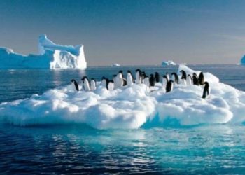 OCEANO ANTÁRTICO