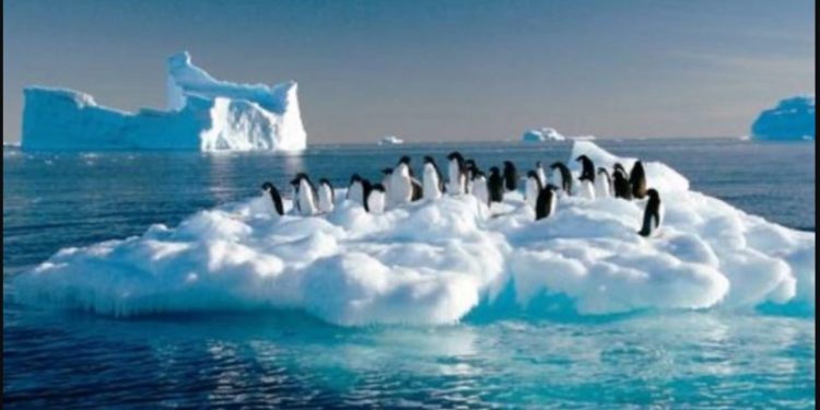 OCEANO ANTÁRTICO