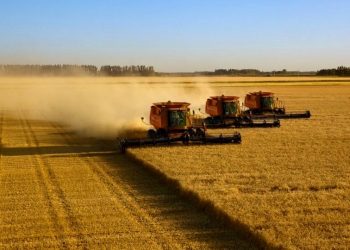 CRÉDITOS DE CARBONO TÊM POTENCIAL BILIONÁRIO PARA O AGRONEGÓCIO