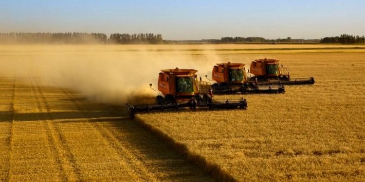 CRÉDITOS DE CARBONO TÊM POTENCIAL BILIONÁRIO PARA O AGRONEGÓCIO