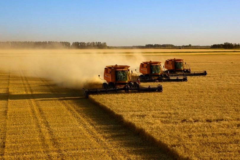 Mercado de crédito de carbono é o destaque da Globo Rural de março