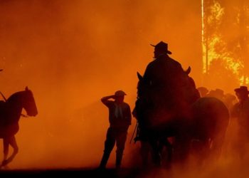 BIOMA MAIS DEGRADADO DO BRASIL, PAMPA ESTÁ VIRANDO SOJA E AREIA