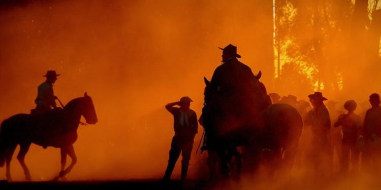 BIOMA MAIS DEGRADADO DO BRASIL, PAMPA ESTÁ VIRANDO SOJA E AREIA