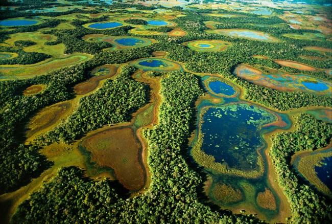 Baias e salinas na região do Rio Negro Mato Grosso do Sul maio de 2000