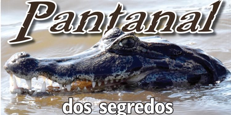 “PANTANAL DOS SEGREDOS”: EXPEDIÇÃO DE O ESTADO REVELA UM BIOMA INTOCADO; DESCUBRA