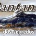 “PANTANAL DOS SEGREDOS”: EXPEDIÇÃO DE O ESTADO REVELA UM BIOMA INTOCADO; DESCUBRA