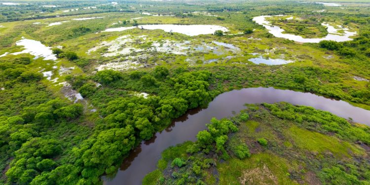 SOLIDARIEDADE NA INDIFERENÇA