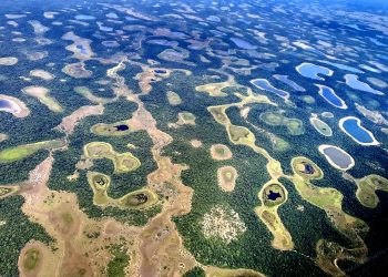 PANTANAL: NASCIMENTO, VIDA E  MORTE (PRÓXIMA?)…
