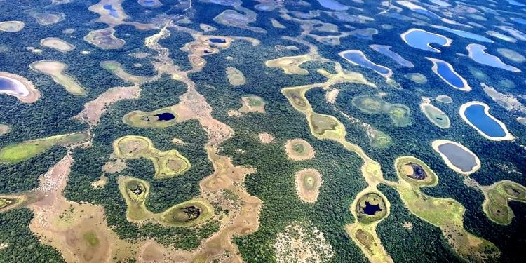 PANTANAL: NASCIMENTO, VIDA E  MORTE (PRÓXIMA?)…