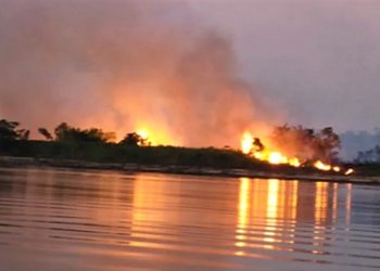 DIA DO PANTANAL: RECUPERAÇÃO DO BIOMA APÓS QUEIMADAS PODE DEMORAR DÉCADAS