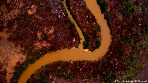 Área que costuma ficar alagada foi este ano destruída pelo fogo