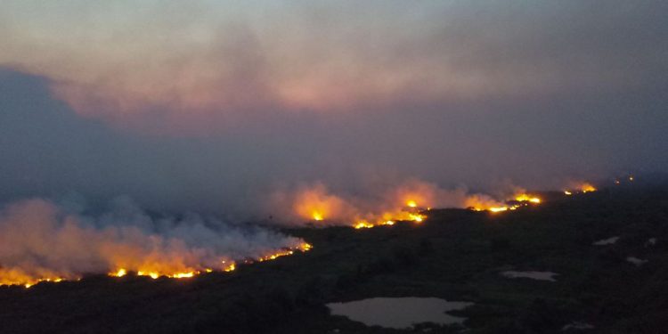 O DESCONHECIMENTO É PIOR QUE O FOGO