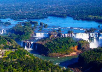 REABERTURA DE ESTRADA NO PARQUE DO IGUAÇU DEVE AUMENTAR A CAÇA E A EXTRAÇÃO ILEGAL DE PALMITO